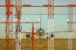 Foto: Airplane Landing Airplane Landing