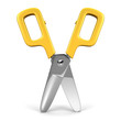 Scissors Front View