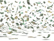 Flying Moneys