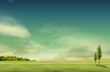 Foto: field landscape with trees field landscape with trees