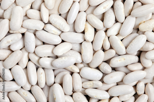 Photo: Great Northern Beans Great Northern Beans