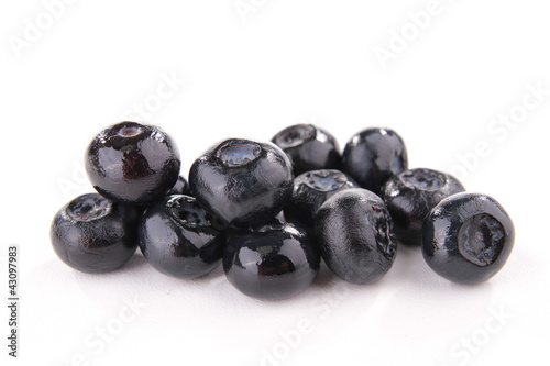Foto: isolated blueberry isolated blueberry