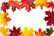 Photo: autumn maple leaves autumn maple leaves
