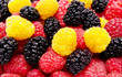 Red and yellow raspberry mulberry background