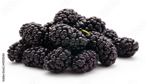 Foto: Heap of mulberry on white background Heap of mulberry on white background