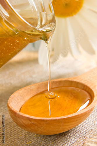 Photo: Honey Honey