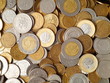 Polish Money