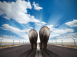 Foto: Two elephants on asphalt road Two elephants on asphalt road