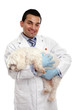 Foto: Veterinarian carrying a pet dog Veterinarian carrying a pet dog