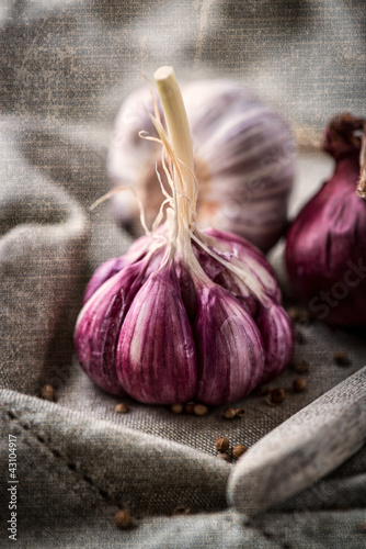 Photo: Garlic and Onion (image with texture) Garlic and Onion (image with texture)