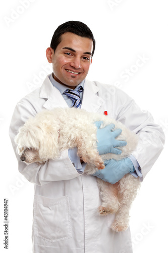 Photo: Veterinarian carrying a pet dog Veterinarian carrying a pet dog