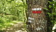 wanderweg