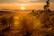 Val d'Orcia Toscana