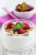 Joghurt mit Früchten