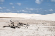 Foto: Sand dunes of the Lencois Maranheses in Brazil Sand dunes of the Lencois Maranheses in Brazil
