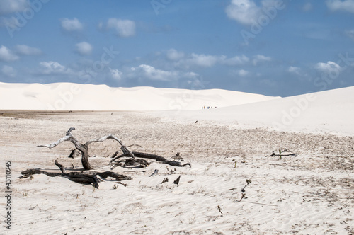 Foto: Sand dunes of the Lencois Maranheses in Brazil Sand dunes of the Lencois Maranheses in Brazil