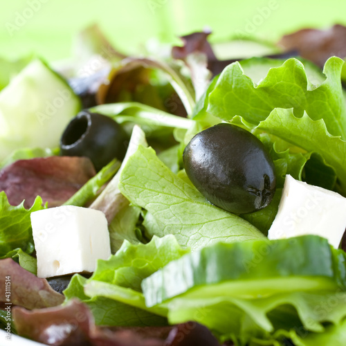 Foto: Salat mit Oliven Salat mit Oliven