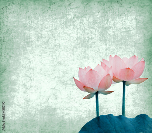 Photo: Water Lily on grunge textured background Water Lily on grunge textured background
