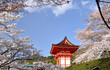 Shrine with cherry blossom