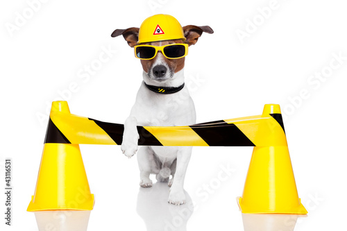 Foto: under construction dog under construction dog