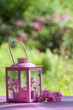 Garden lantern - Windlicht im Garten