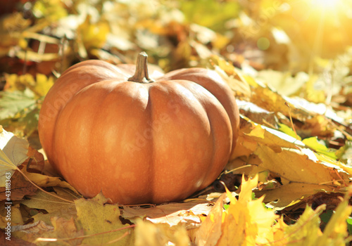 Photo: Halloween pumpkin on leaves in woods Halloween pumpkin on leaves in woods