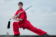Wushoo man in red practice martial art
