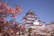 Aizuwakamatsu Castle and cherry blossom