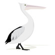 Vektor: Pelican Pelican