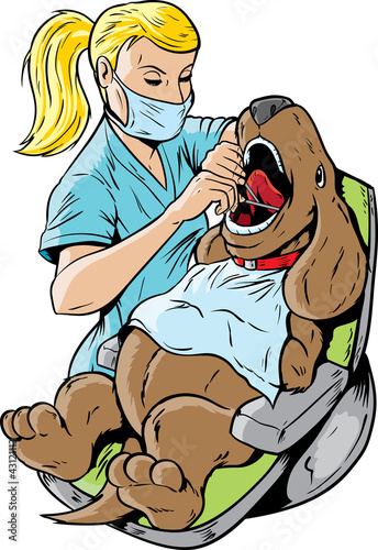 Vektor: Veterinarian dentist Veterinarian dentist