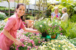 Photo: Florist arranging flower pots in garden store Florist arranging flower pots in garden store