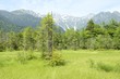 上高地