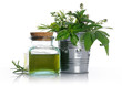 healthy herbs