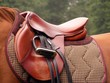 Red saddle on the brown horse back