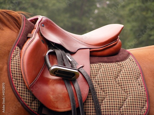 Photo: Red saddle on the brown horse back Red saddle on the brown horse back