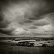 dark landscape