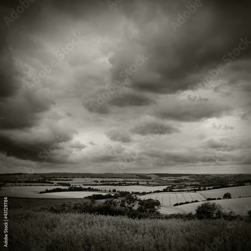 Photo: dark landscape dark landscape