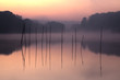 Prickensee
