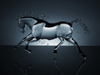 water running horse over white