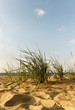Baltic sea.