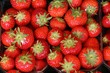 Erdbeeren 1