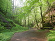 wald05
