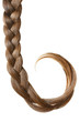 Braid isolated on white.