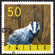 Photo: Postage stamp Poland 1965 European Badger Postage stamp Poland 1965 European Badger