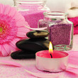 Wellness, Konzept