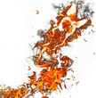 Fire butterfly on white