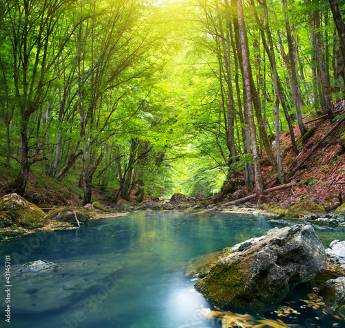Photo: River in mountain forest. River in mountain forest.
