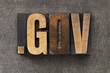 internet domain for government
