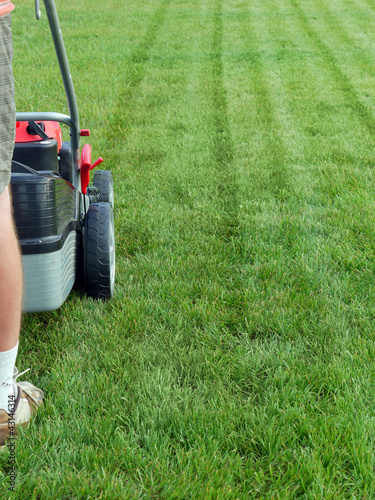 Photo: Grass mowing Grass mowing