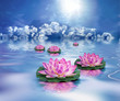 Spa Beaute et Bien-Etre